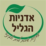 אדניות-הגליל-Galilee-Planters-logo.webp